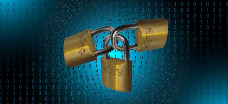 Comment optimiser la sécurité de ses données sur Internet ?