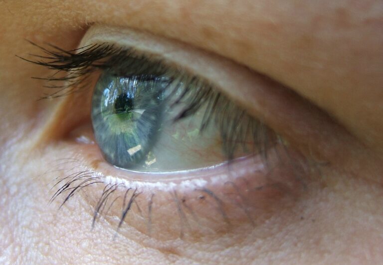 Nikon réexamine sa vidéo de cils primée, soupçonnée d’IA