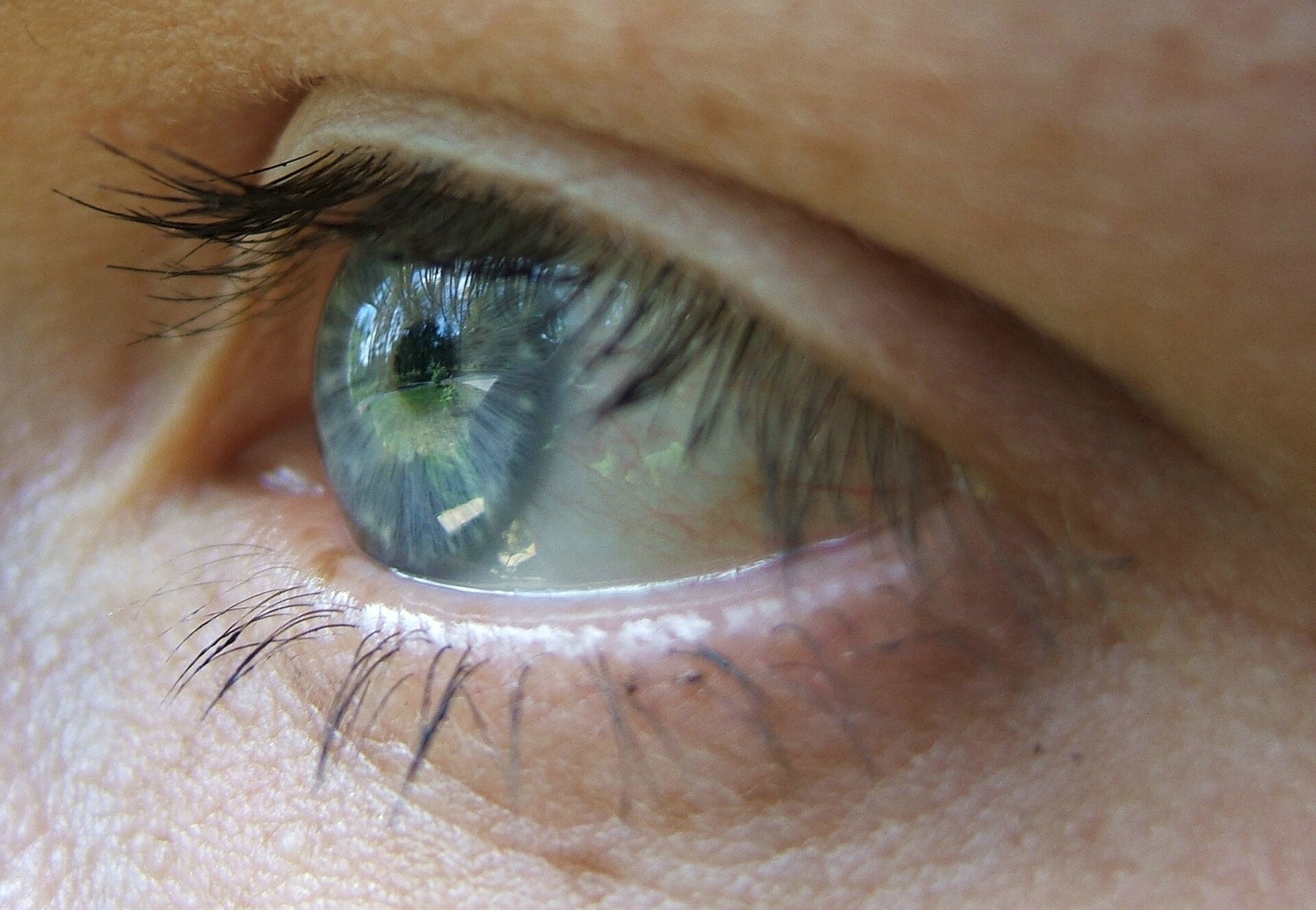 Nikon réexamine sa vidéo de cils primée, soupçonnée d’IA